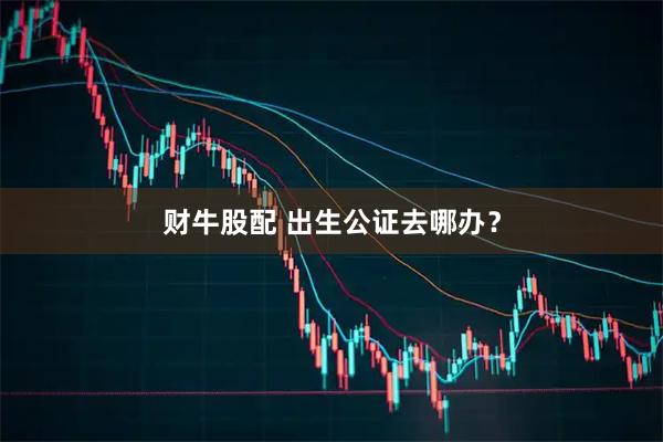 财牛股配 出生公证去哪办？